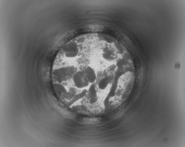 X0000113220553200910221127