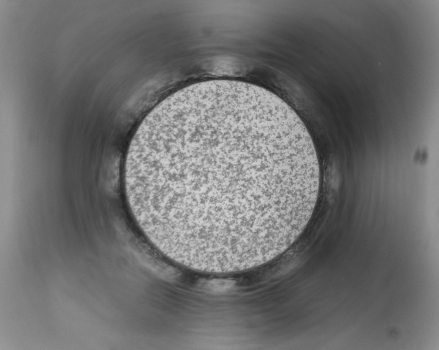 X0000113220554200910221127