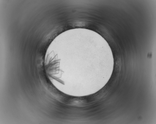 X0000113220555200910221127