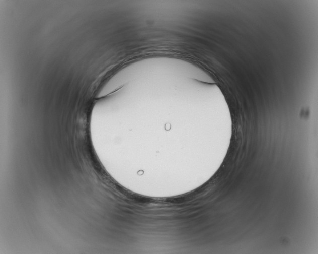 X0000113220556200910221127