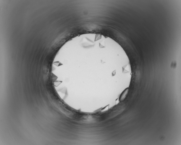 X0000113220558200910221127