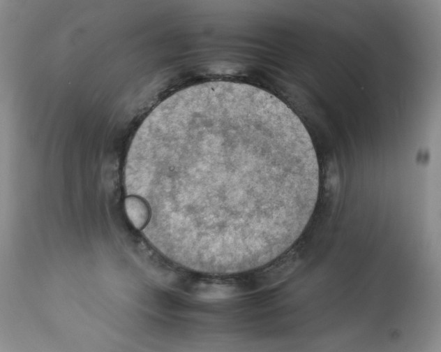 X0000113220559200910221127