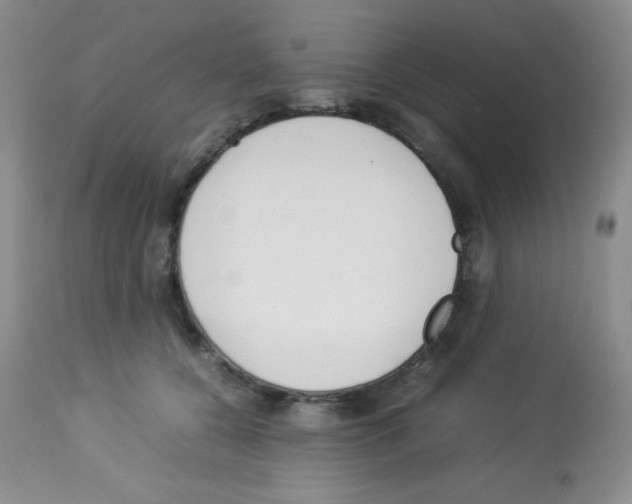 X0000113220560200910221127