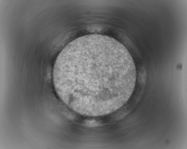X0000113220561200910221127