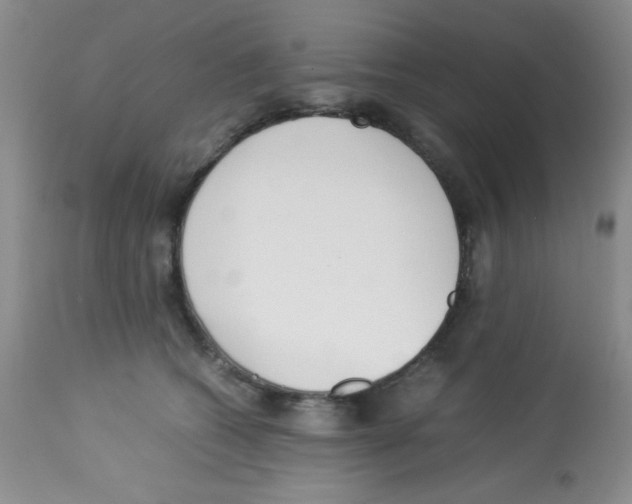 X0000113220562200910221127