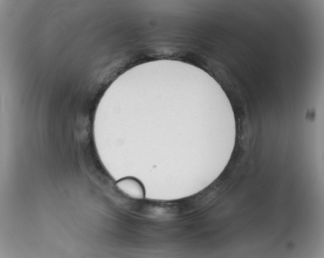 X0000113220563200910221127