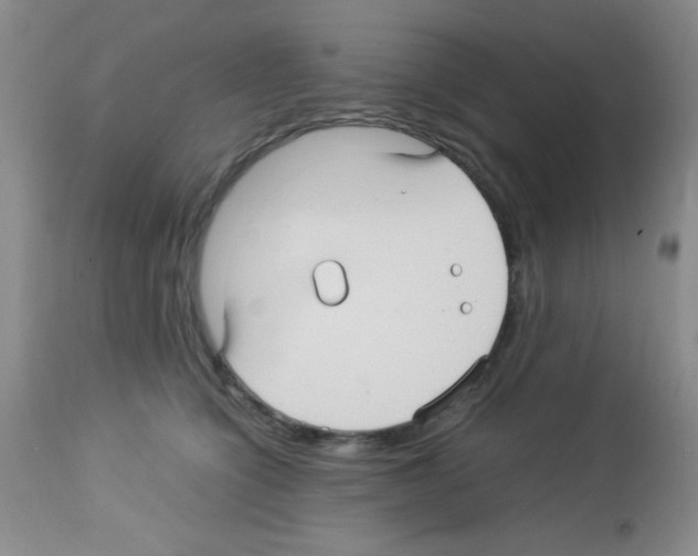 X0000113220564200910221127