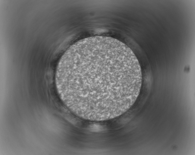 X0000113220565200910221127