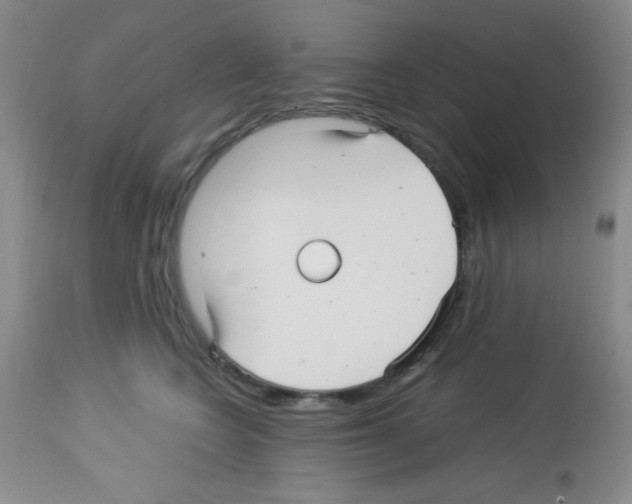 X0000113220566200910221127
