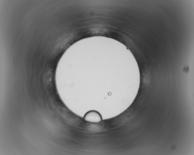 X0000113220567200910221127