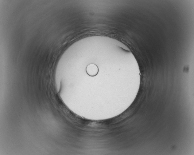 X0000113220568200910221127