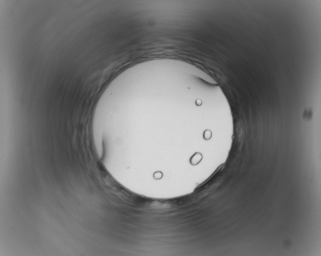 X0000113220570200910221127