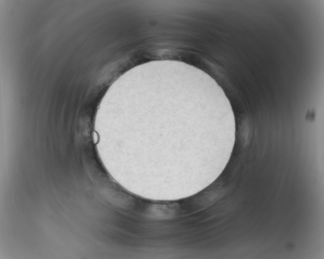 X0000113220571200910221127