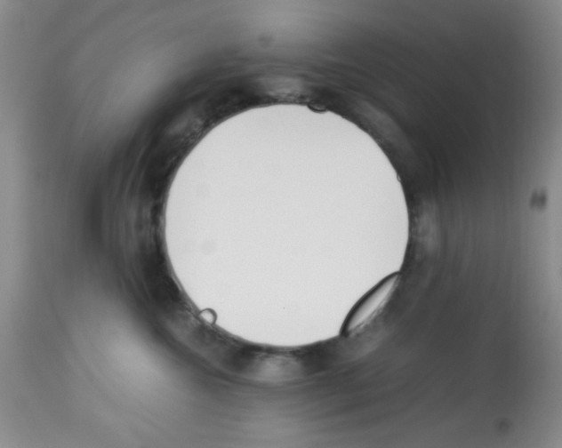 X0000113220572200910221127