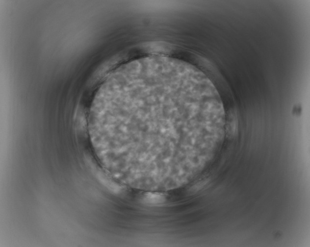 X0000113220573200910221127
