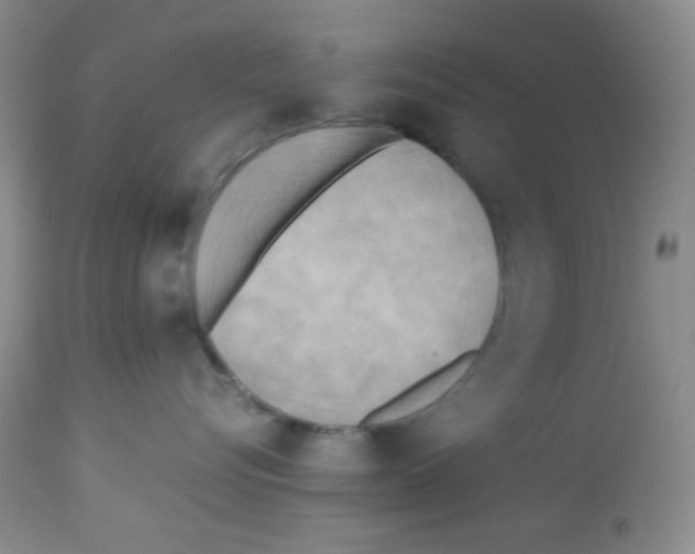 X0000113220576200910221127
