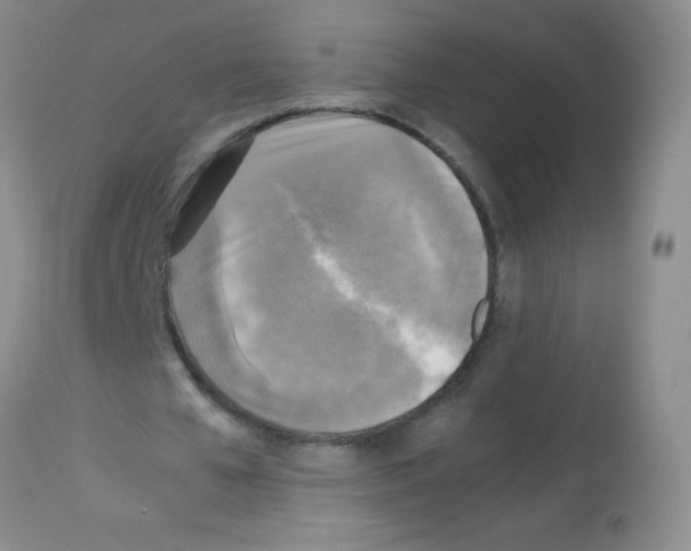 X0000113220577200910221126
