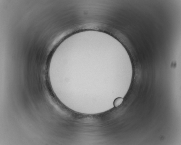 X0000113220578200910221126
