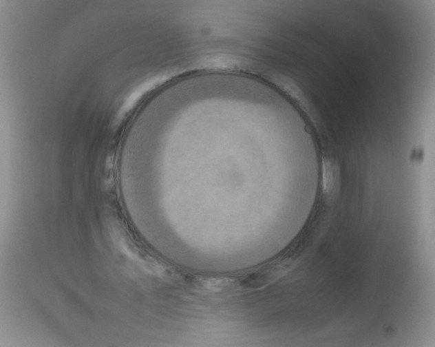 X0000113220579200910221126