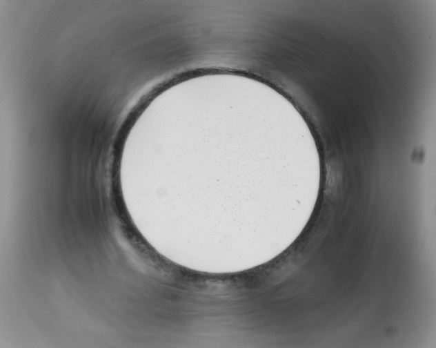 X0000113220580200910221126