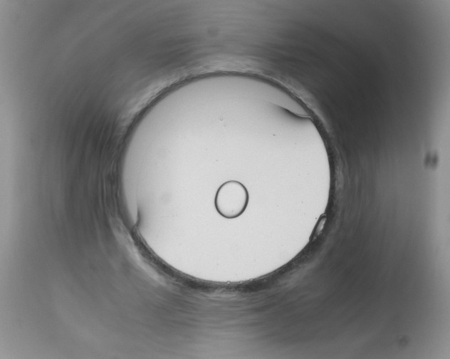 X0000113220581200910221126