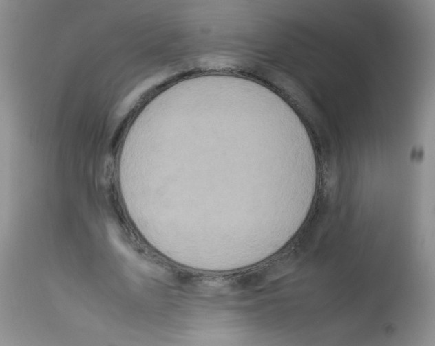 X0000113220583200910221126