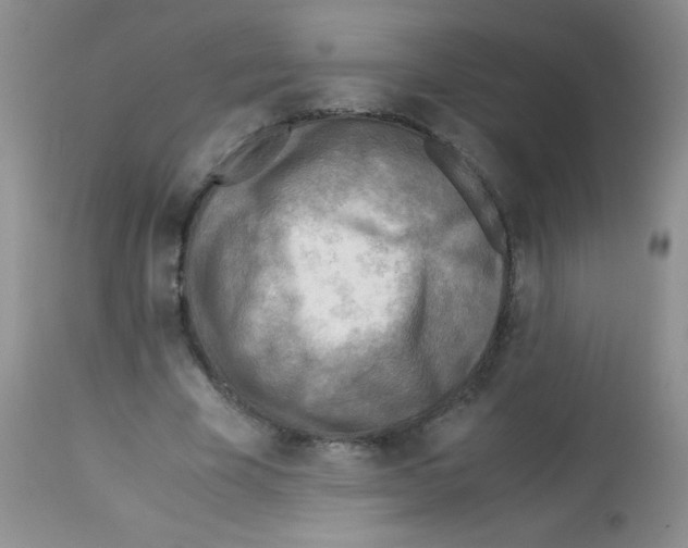 X0000113220585200910221126