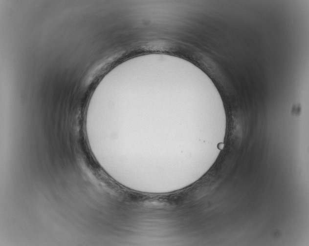 X0000113220586200910221126