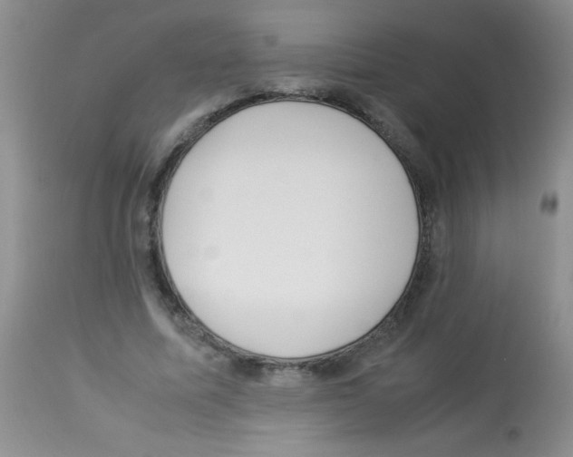 X0000113220587200910221126