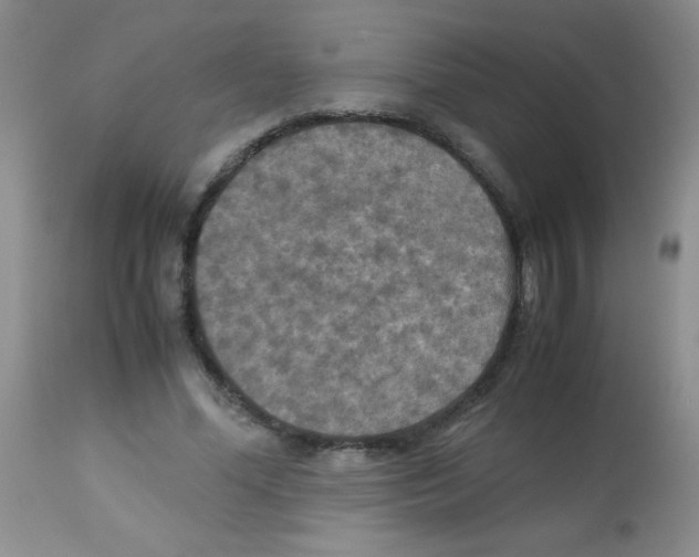X0000113220588200910221126