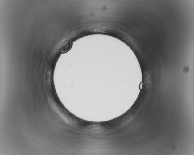 X0000113220589200910221126