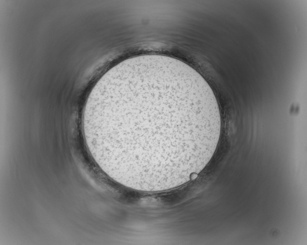 X0000113220591200910221126