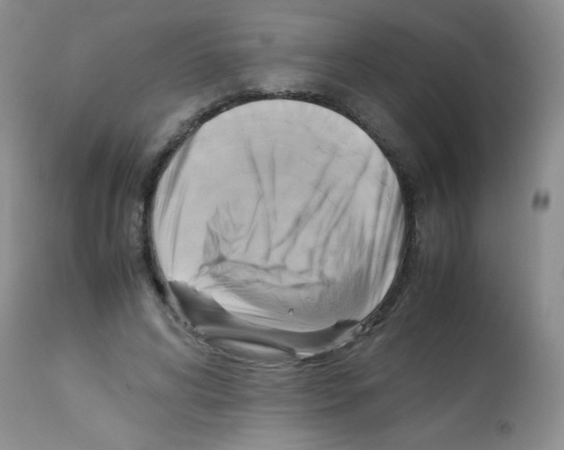 X0000113220592200910221126