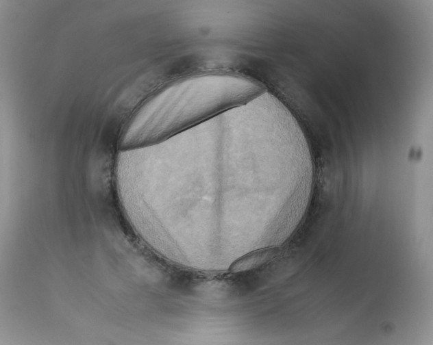 X0000113220593200910221126