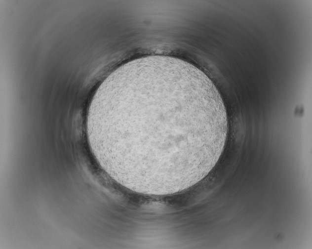 X0000113220594200910221126