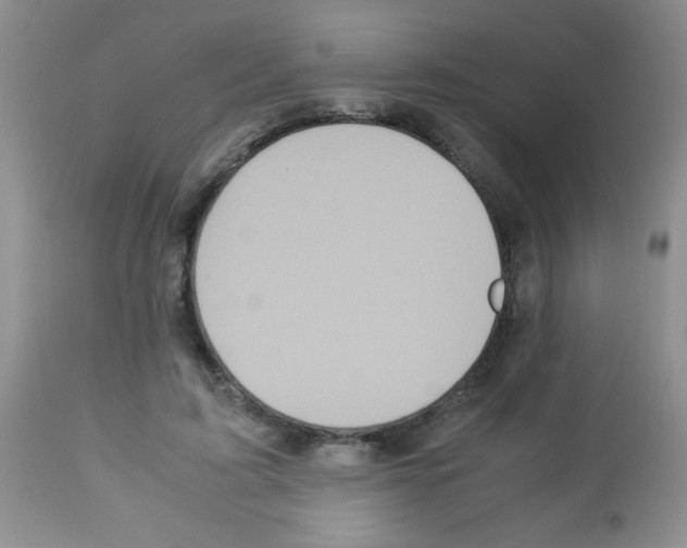 X0000113220595200910221126