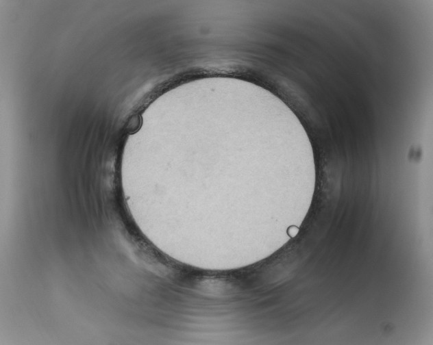 X0000113220596200910221126