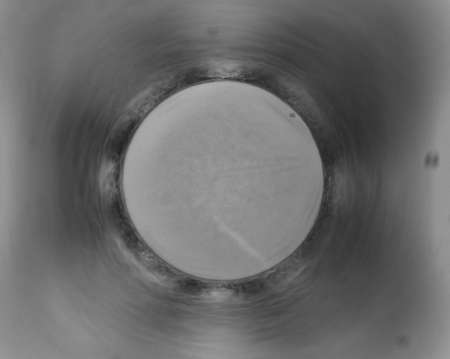 X0000113220598200910221126