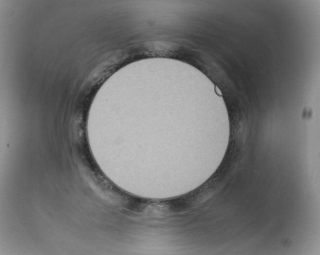 X0000113220599200910221126
