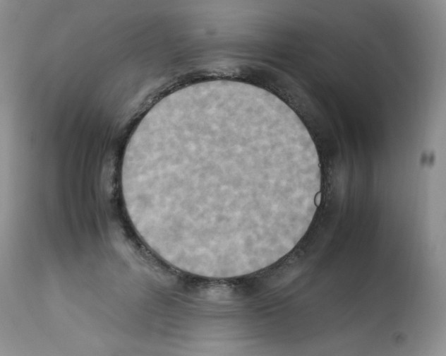 X0000113220600200910221126