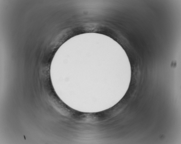 X0000113220601200910221126