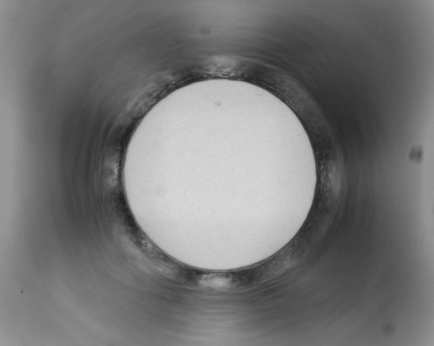 X0000113220602200910221126