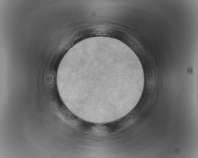 X0000113220603200910221126