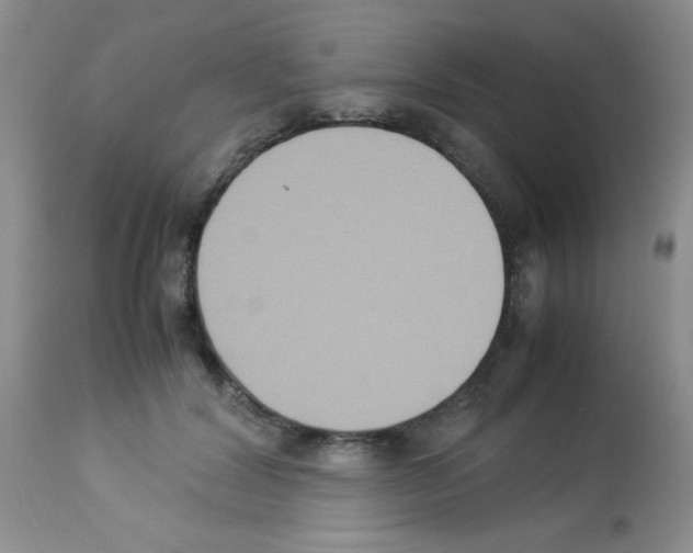 X0000113220604200910221126
