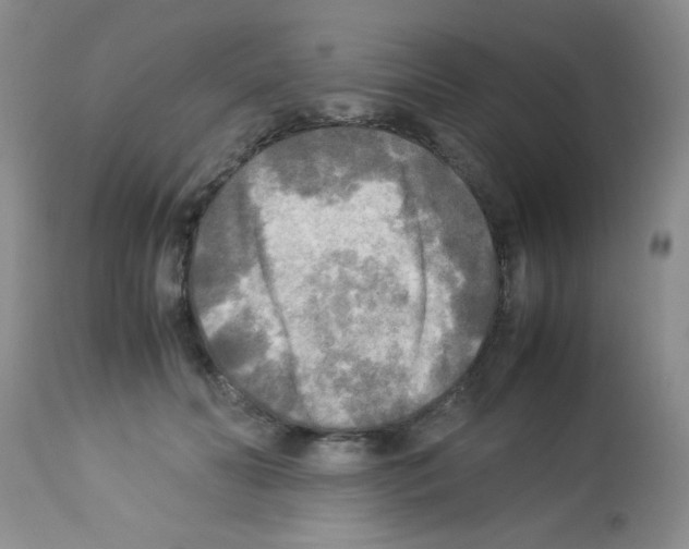 X0000113220606200910221126