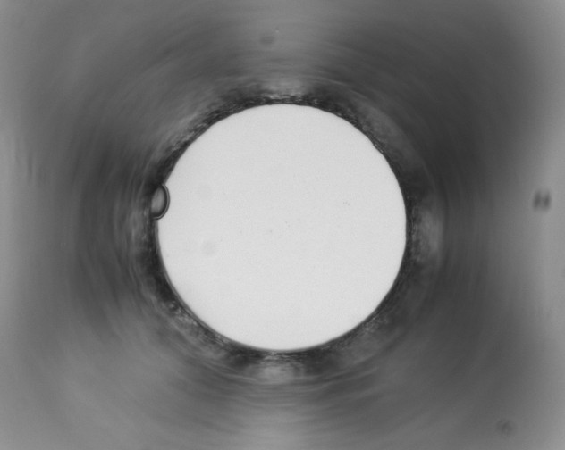 X0000113220608200910221126