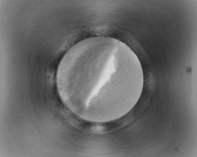 X0000113220610200910221126