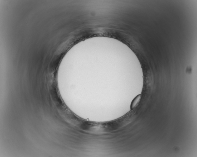 X0000113220611200910221126