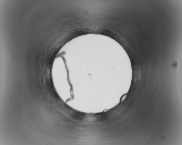 X0000113220613200910221126