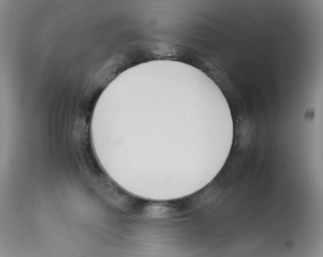 X0000113220614200910221126